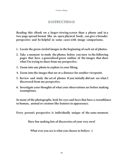 CURIOUS THINGS  eBook